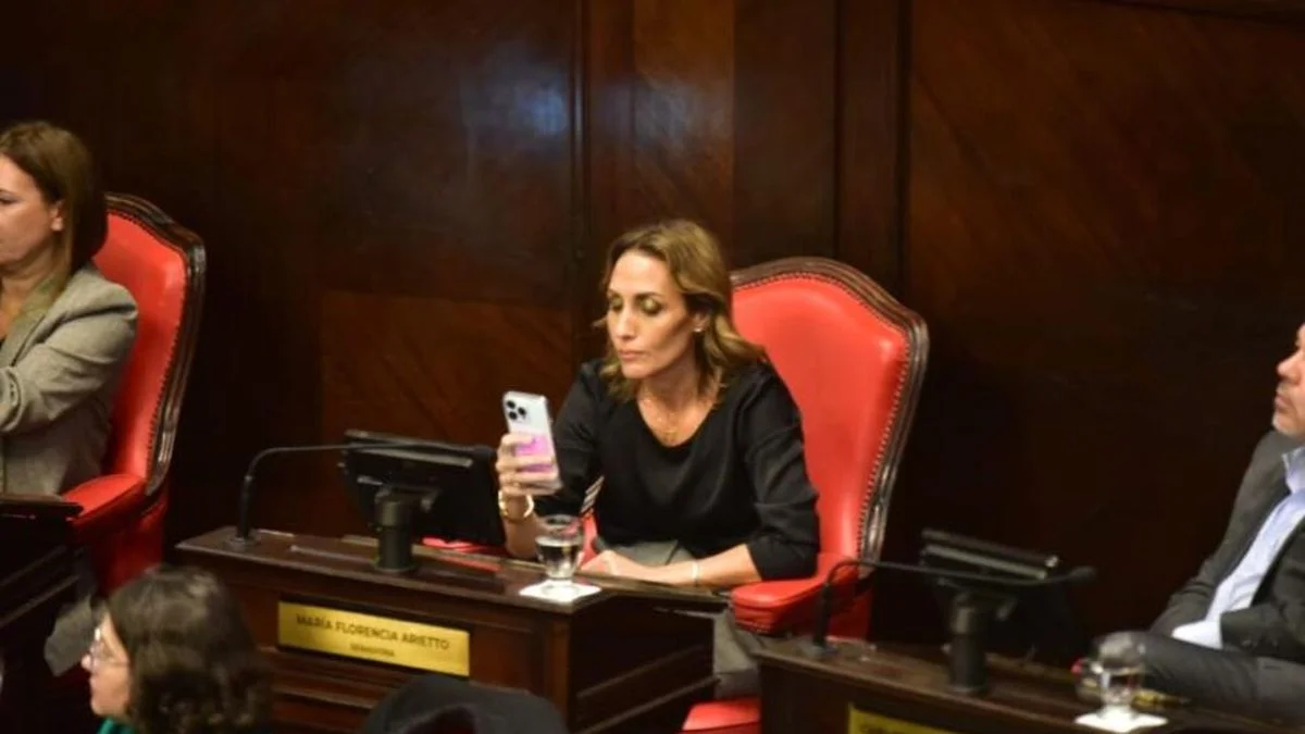 Picante cruce entre un ministro de Kicillof y una senadora de La Libertad Avanza