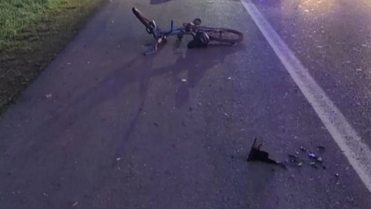 Tragedia en la ruta 2: un ciclista de La Plata murió en un accidente