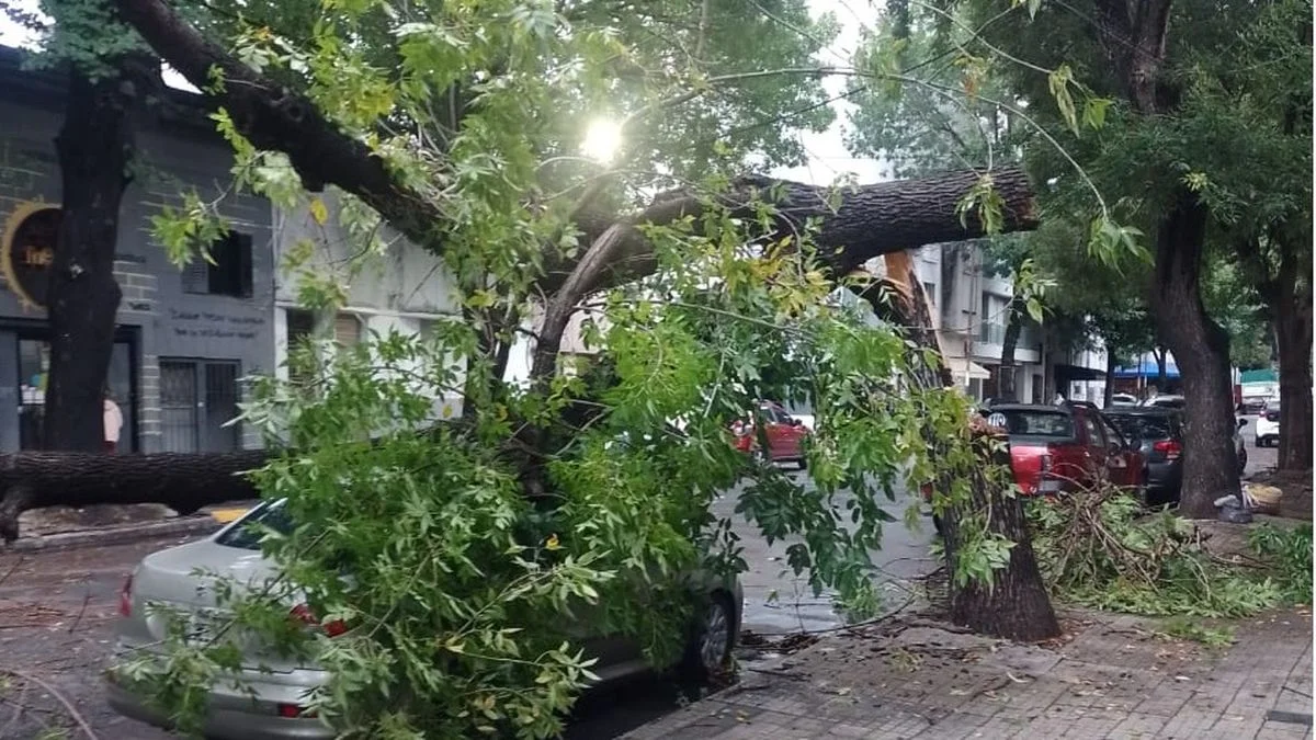Edelap informó que se normalizaron los servicios afectados por la tormenta