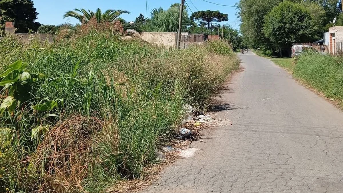 El pasto se apoderó de una calle en un barrio de La Plata y complica el paso