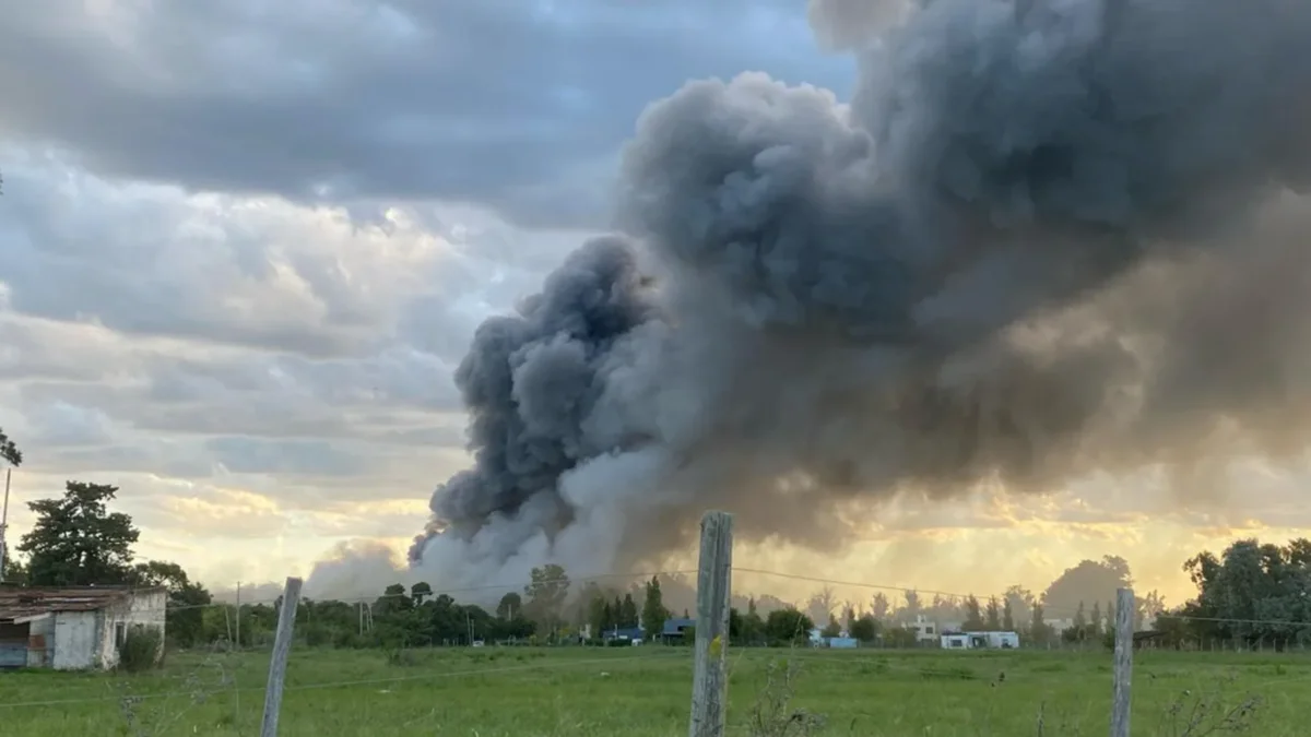Incendio en el Frigorífico Gorina: amoníaco en el aire y su impacto ambiental en La Plata