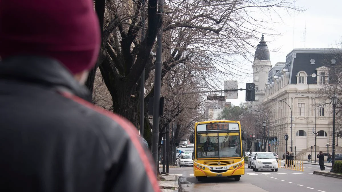 El boleto mínimo de los micros en La Plata subirá ¿de cuánto será el valor?