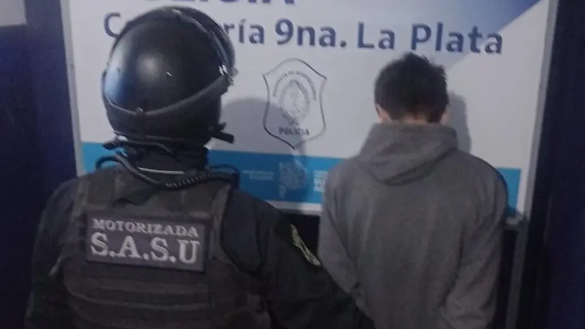 Un menor de edad se robó un celular de una carnicería de La Plata