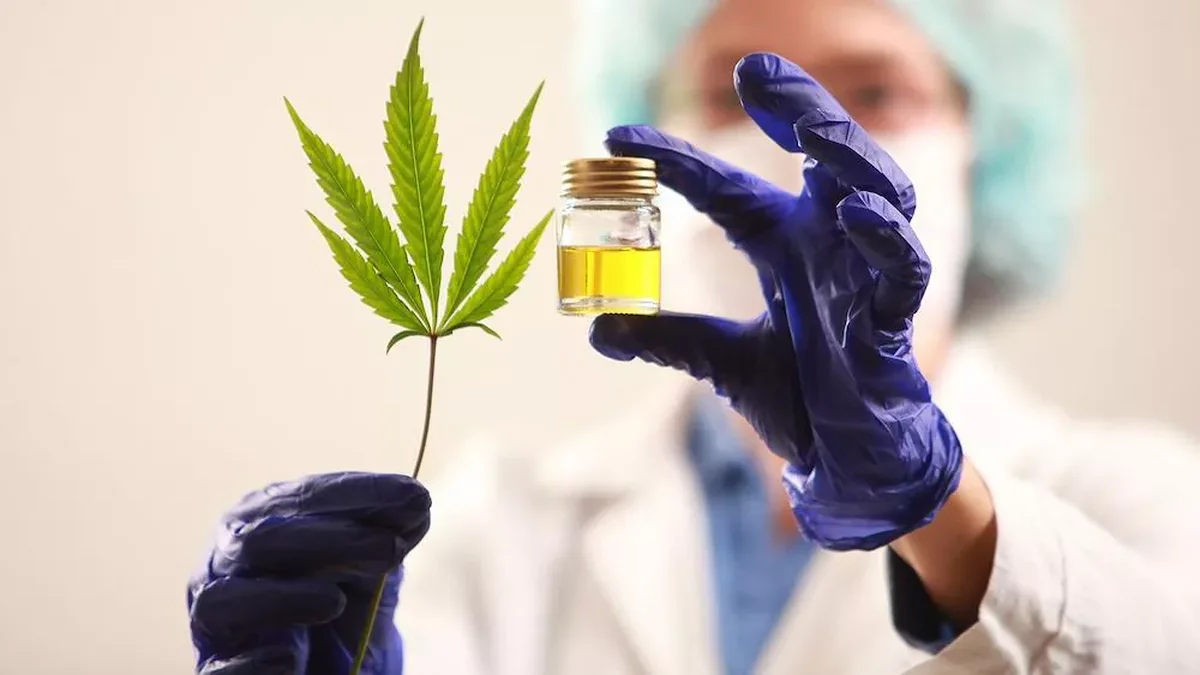 Realizarán el primer Encuentro sobre Cannabis y Salud en La Plata