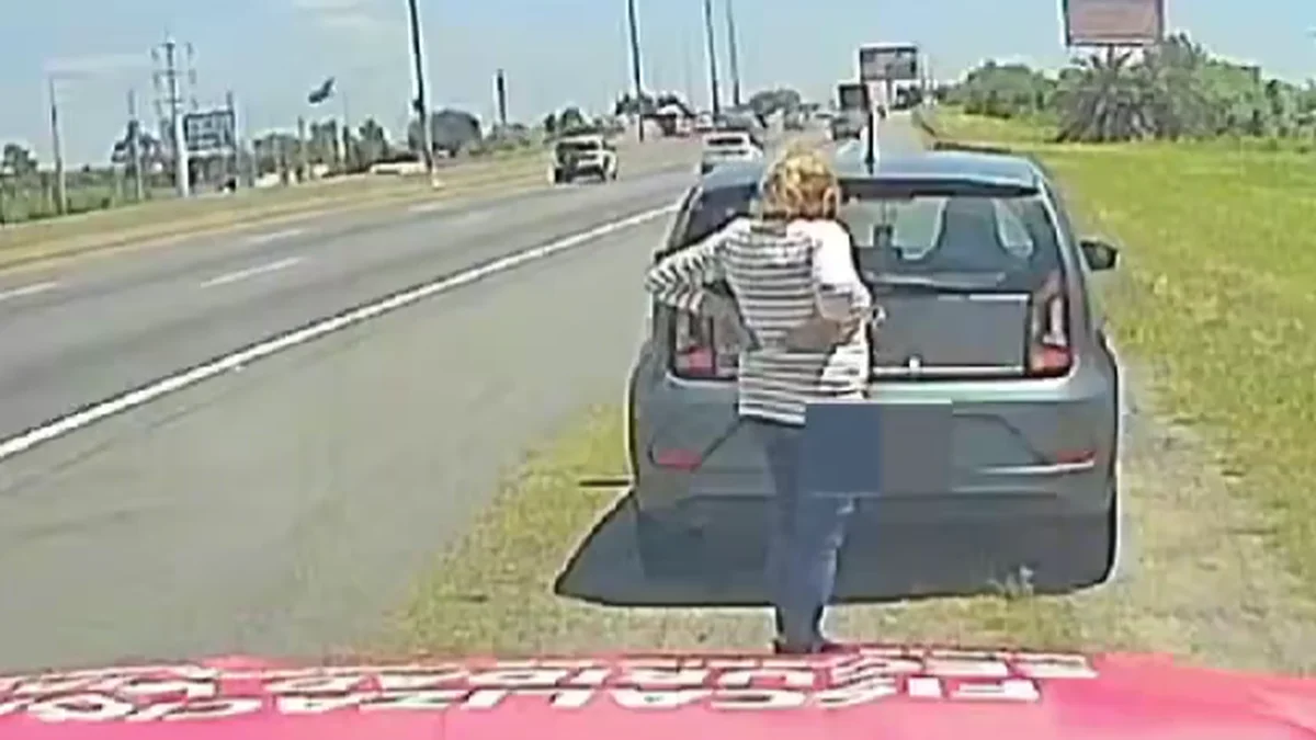 Persecución y multa en la Autopista: circulaba con una patente adulterada