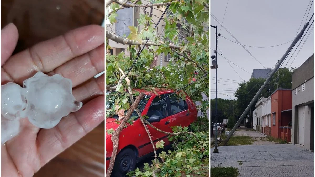 Temporal en La Plata: granizo como pelotitas de golf, postes y árboles caídos