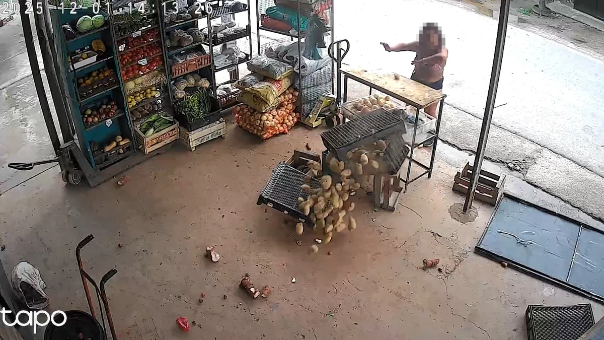 Una mujer atacó a piedrazos un supermercado de Villa Elvira
