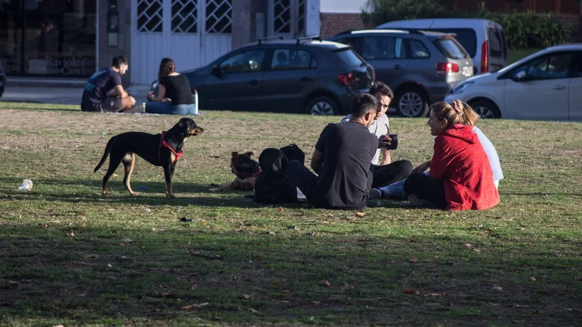 Clima primaveral para el inicio de semana en La Plata