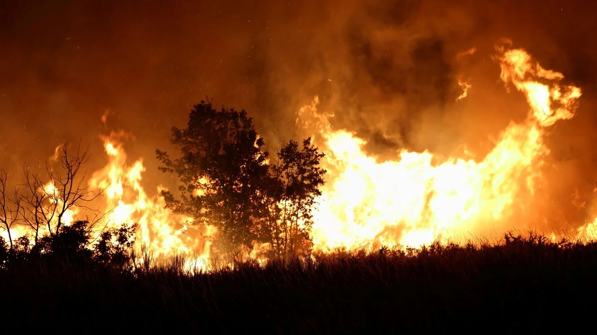 Incendios en la Patagonia: el Gobierno declaró la Emergencia Ígnea en cuatro provincias
