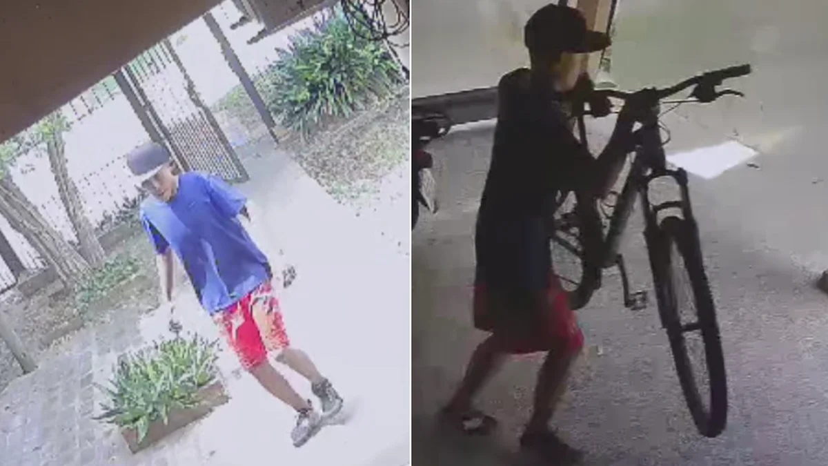 Entró a una casa de Los Hornos y robó una bicicleta