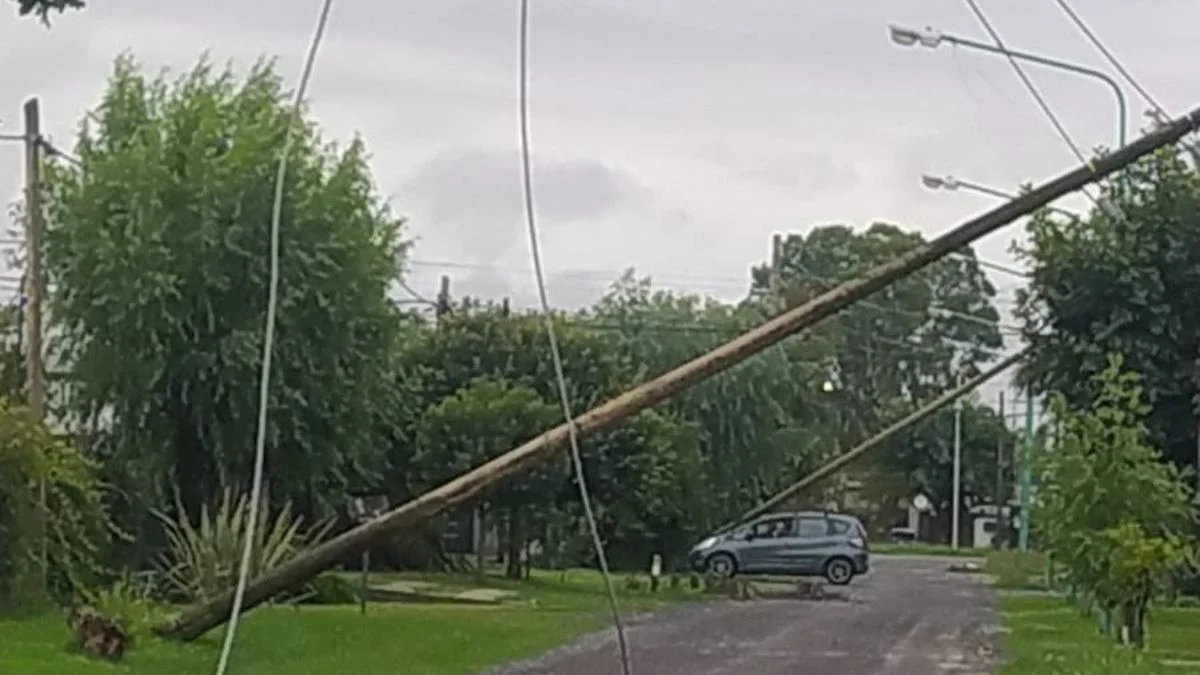 La desidia de EDELAP y un proyecto para que el Municipio sancione el "abandono" de cables y postes