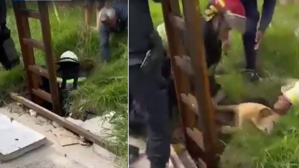 Rescataron a un perro que cayó en una alcantarilla en Berisso