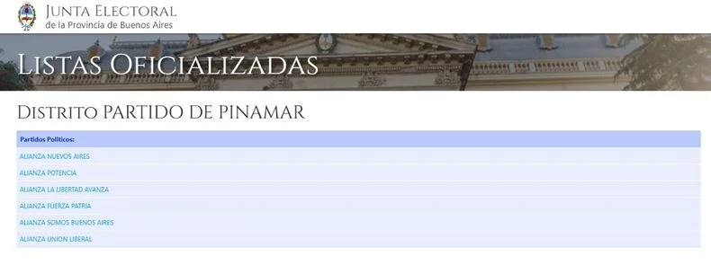 Esc&aacute;ndalo en Pinamar. La Justicia Electoral investiga la campa&ntilde;a realizada por un partido no oficializado