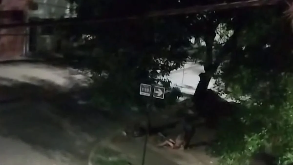 "¡Auxilio!", el desgarrador grito de la mujer de La Plata asesinada con una navaja