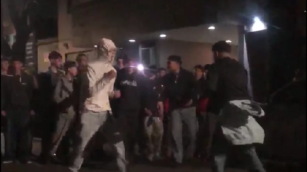 Salvaje pelea callejera en el centro platense