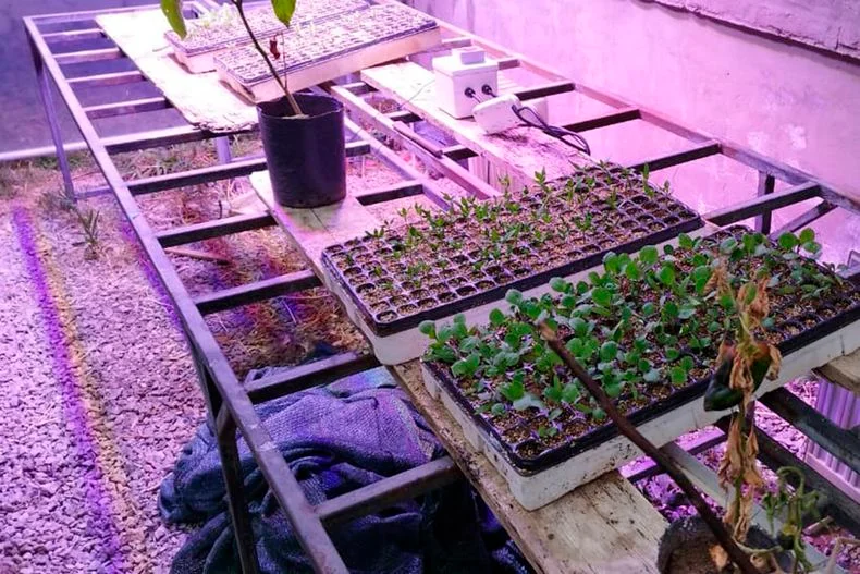 El desarrollo de la UNLP que puede marcar un antes y después en la producción hortícola de La Plata