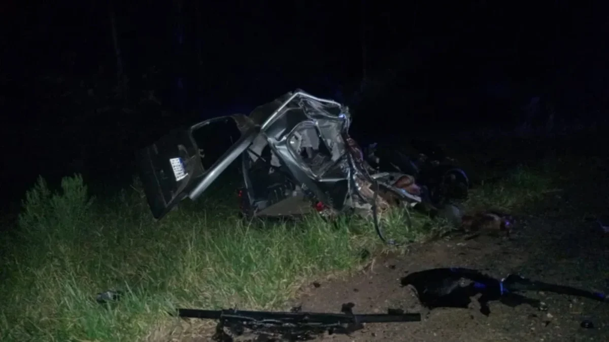Una familia radicada en La Plata murió al chocar contra un camión en Corrientes