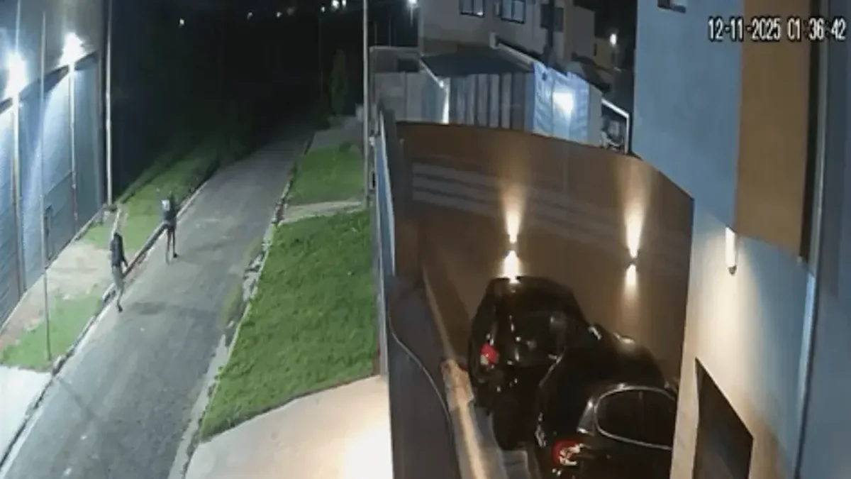 Delincuentes asaltaron varias viviendas en La Plata