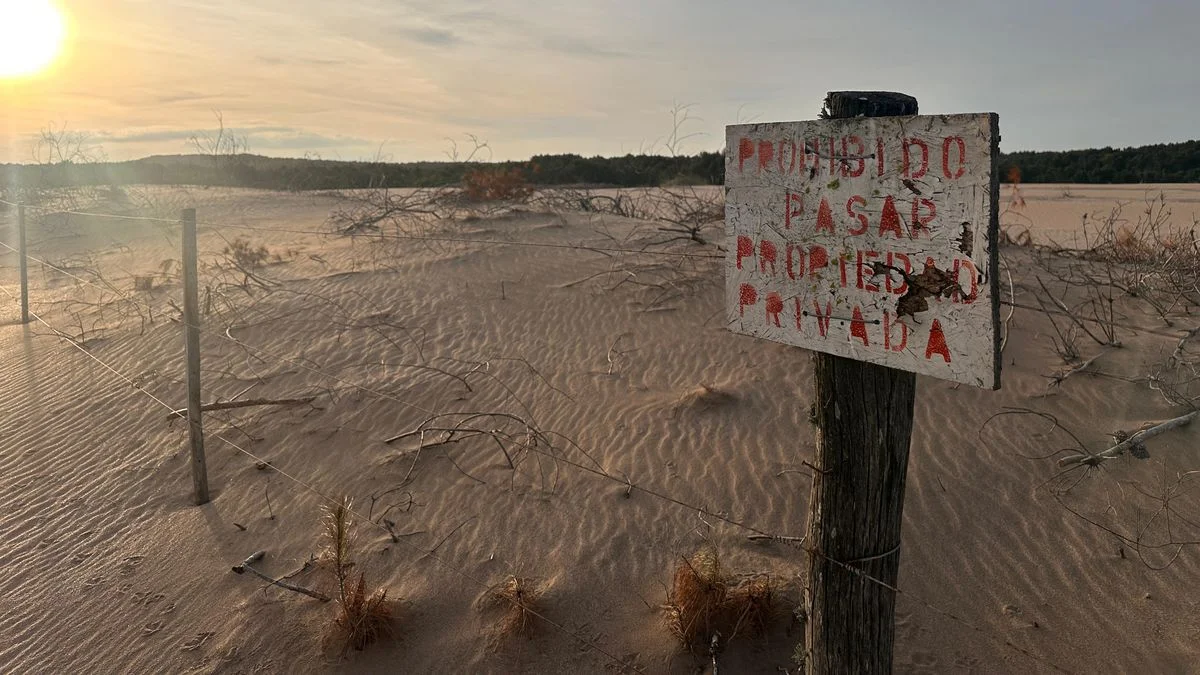 Pinamar 2050: el sueño de la ciudad sustentable, opacado por el poder empresarial