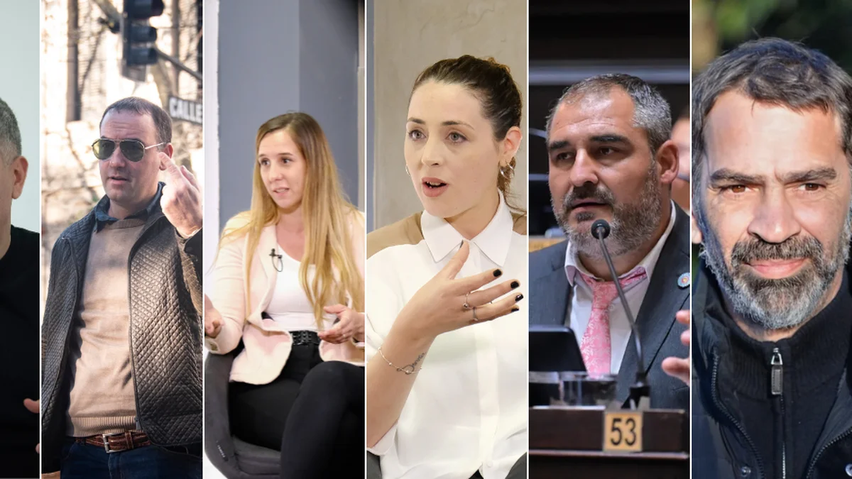 Quiénes son los seis Diputados que eligió La Plata