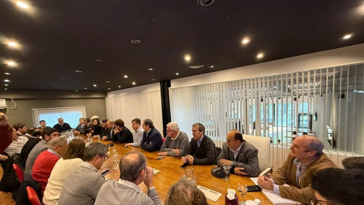Intendentes de la UCR llevaron sus reclamos a la Provincia