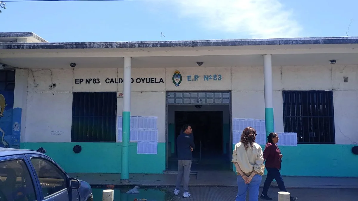 Elecciones salvajes en La Plata: fue a votar con su hijo discapacitado y lo golpearon