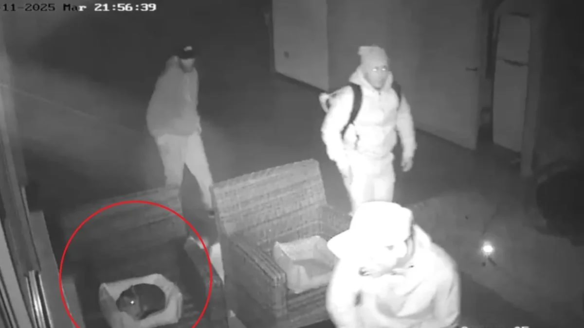 Más robos agravan la inseguridad en la zona norte de La Plata