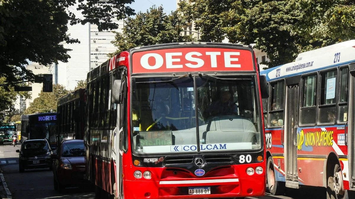 La Municipalidad de La Plata convocó a las empresas de transporte y habrá sanciones