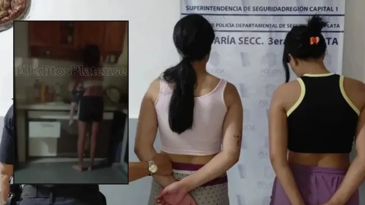 Una de las detenidas por el ataque en Los Hornos había golpeado brutalmente a su bebé