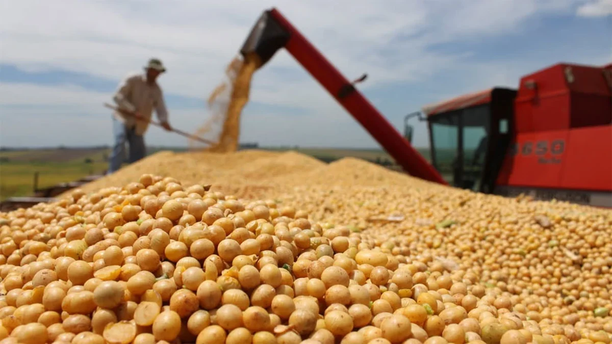 Malestar en el campo con el Gobierno por las "retenciones cero"