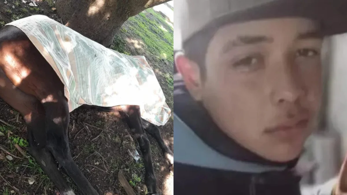 Murió el joven que cayó de un caballo en Barrio Hipódromo
