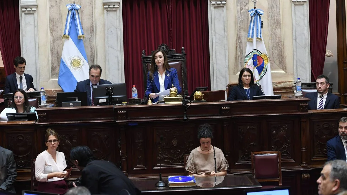 Senado: la UCR puso las firmas y la suspensión de las PASO tuvo dictamen