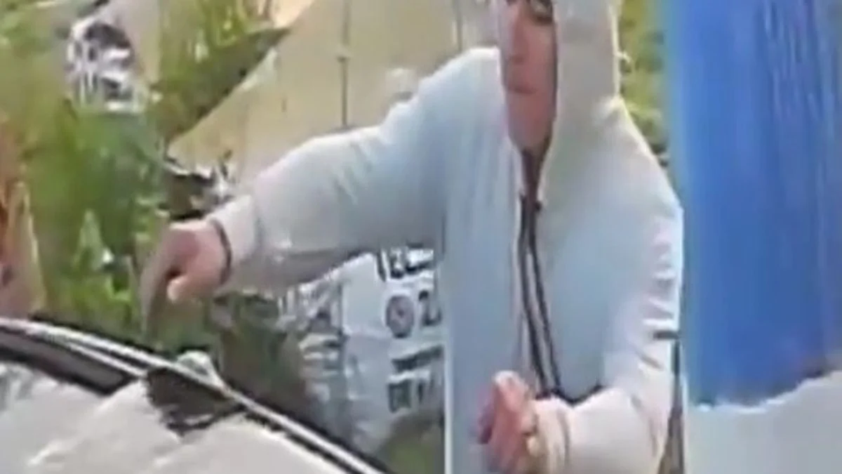 Robó el techo solar de un auto en Los Hornos y quedó grabado