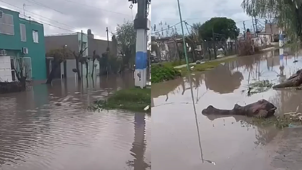 Vecinos de La Plata reclaman por calles anegadas a causa de las tormentas