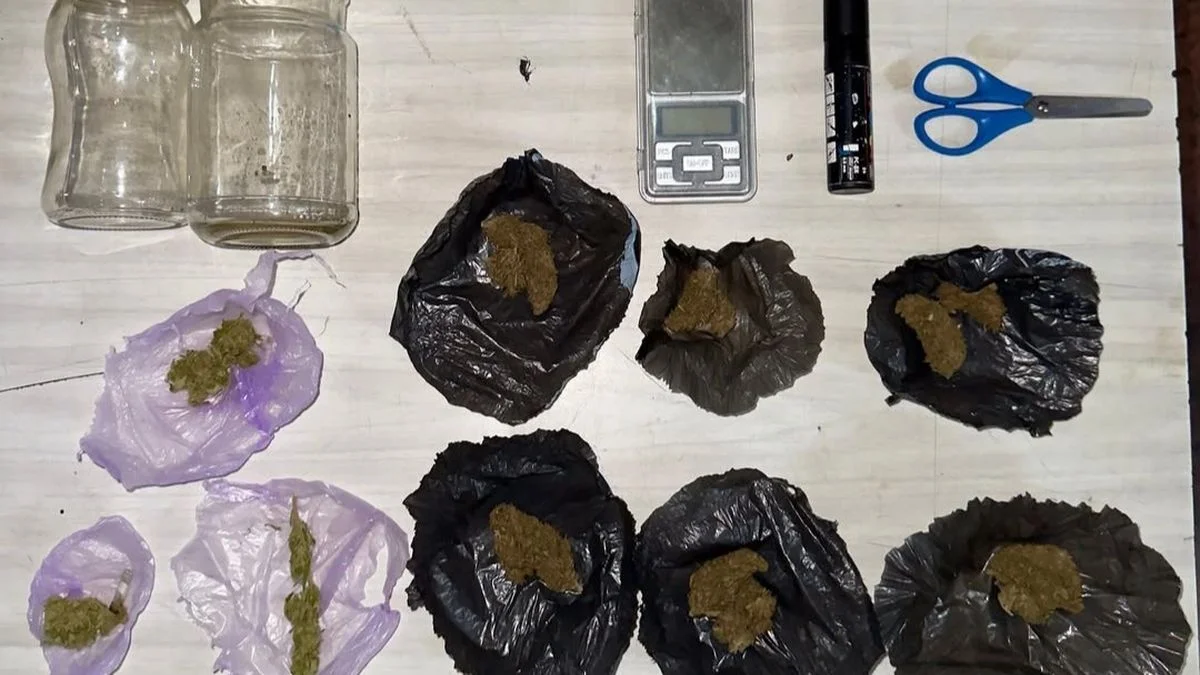 Detuvieron a dos jóvenes que vendían droga en las calles de La Plata