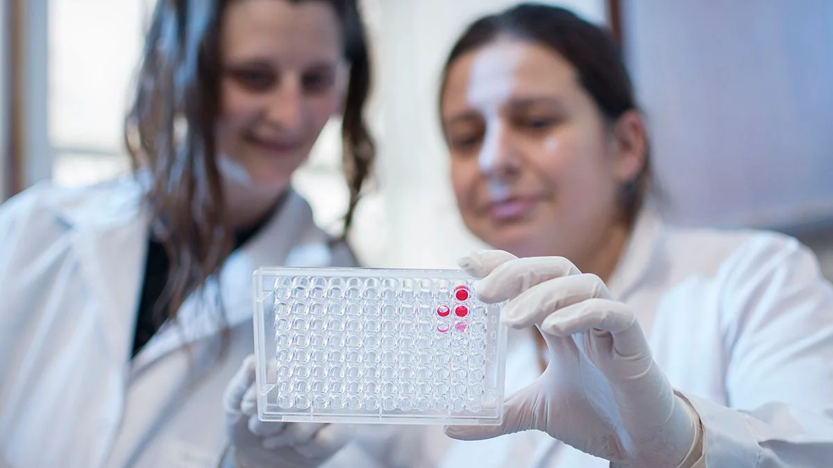 Científicas de la UNLP investigan cómo prevenir infartos en mujeres durante la menopausia