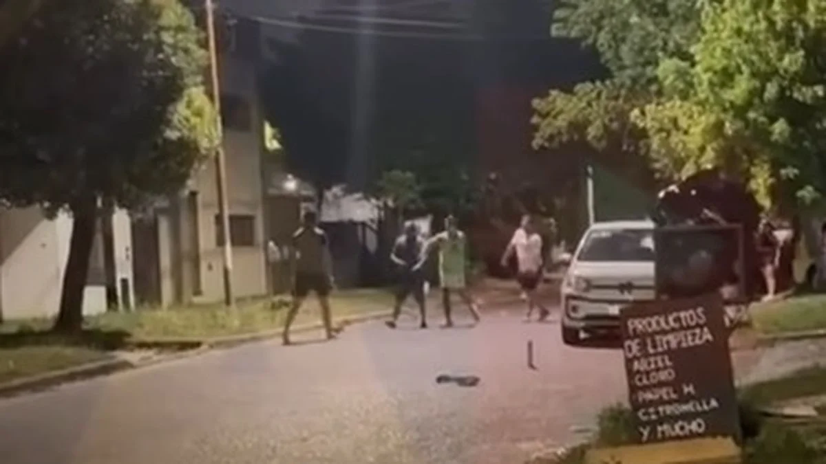 San Carlos: defendió a sus perros de los fuegos artificiales con un machete
