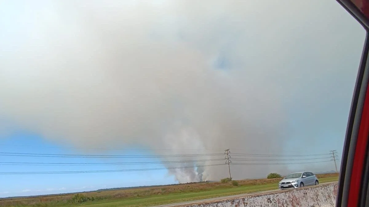 Alerta y preocupación por un incendio en la Reserva Natural de Punta Lara