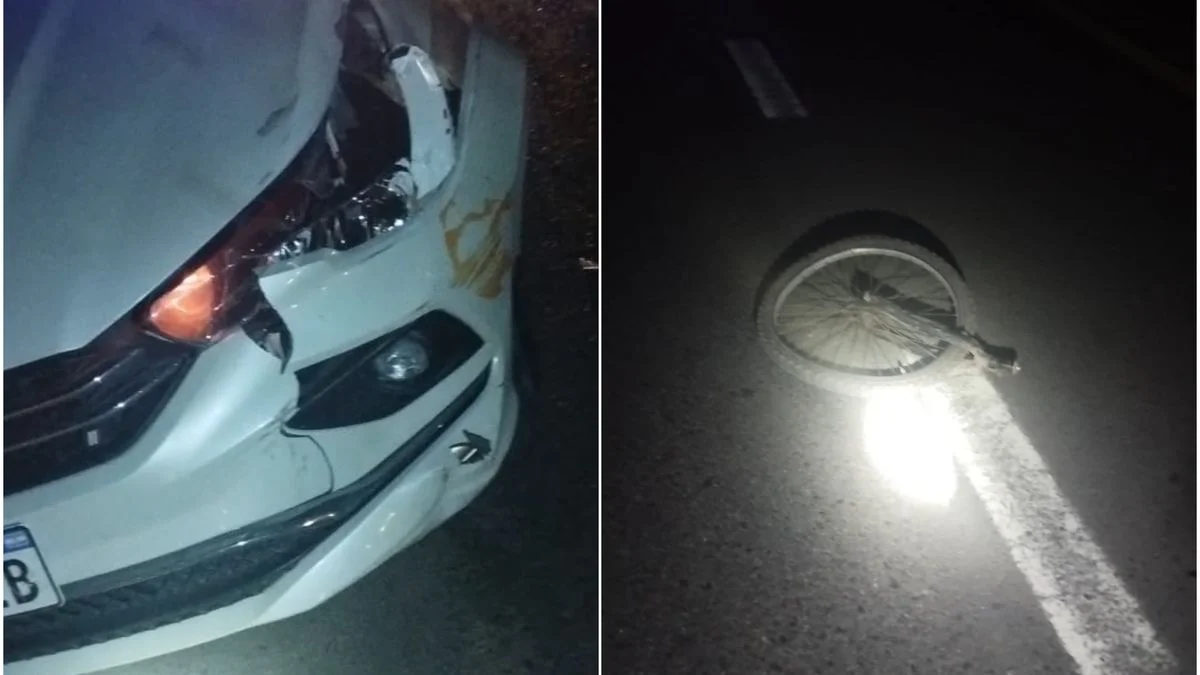 Tránsito fatal en La Plata: un ciclista fue embestido en la Ruta 2 y perdió la vida