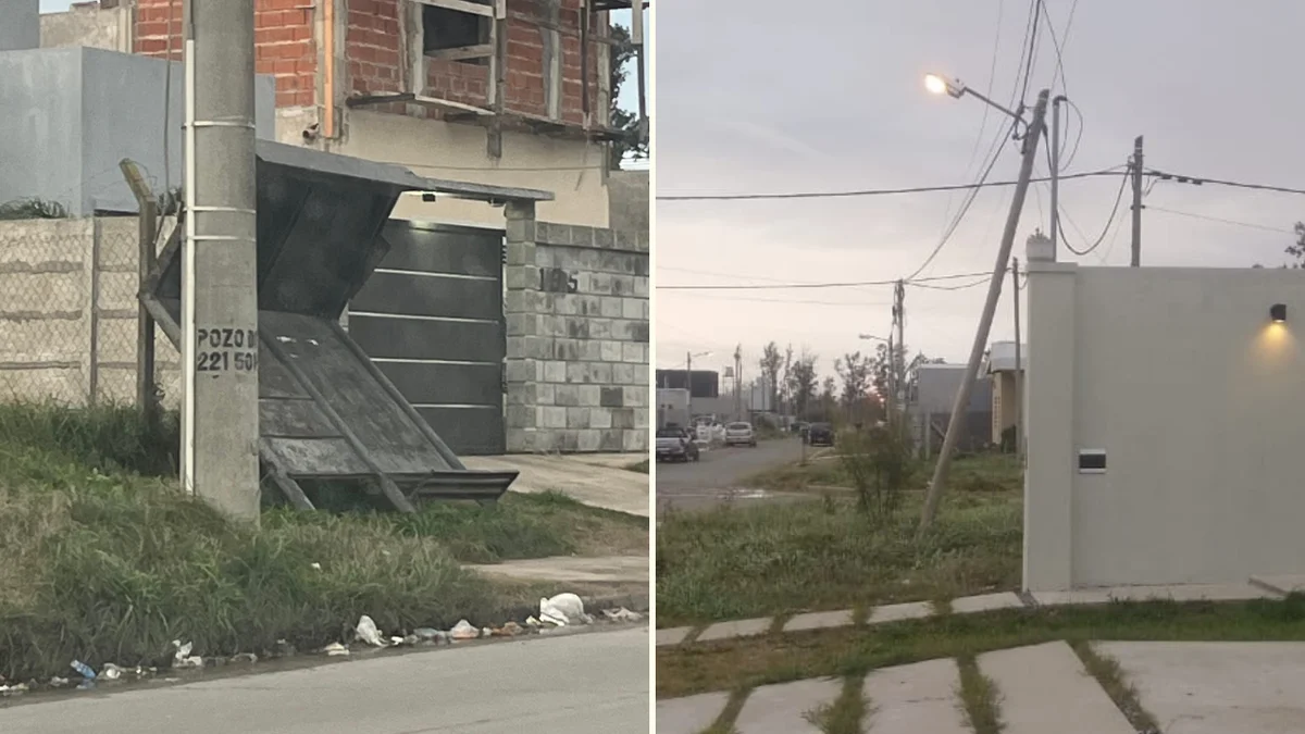 Los fuertes vientos en La Plata tiraron una parada de micros y un poste de luz