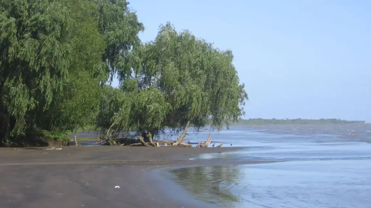Encontraron un cráneo humano en la Isla Paulino