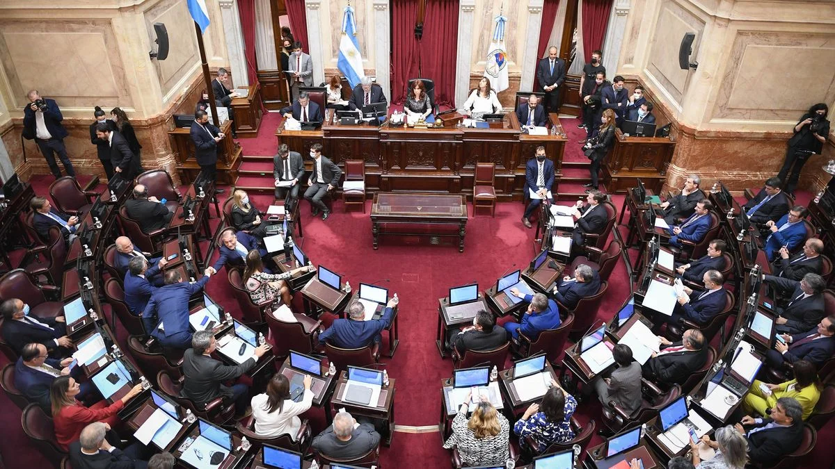 El Senado debate la suspensión de las PASO para este año