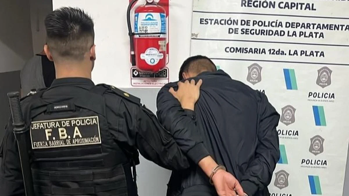 Un delincuente robó mercadería en un comercio de Villa Elisa