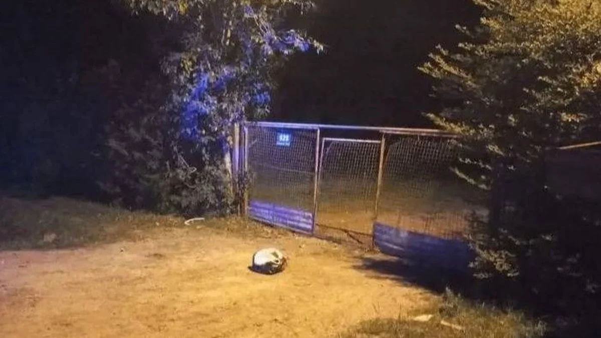 Intentó matar a fierrazos a su pareja en Abasto