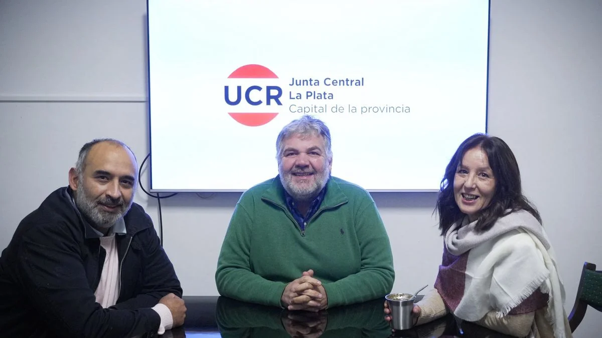 Federico Ayllon promete "reconciliar" a la UCR con la sociedad