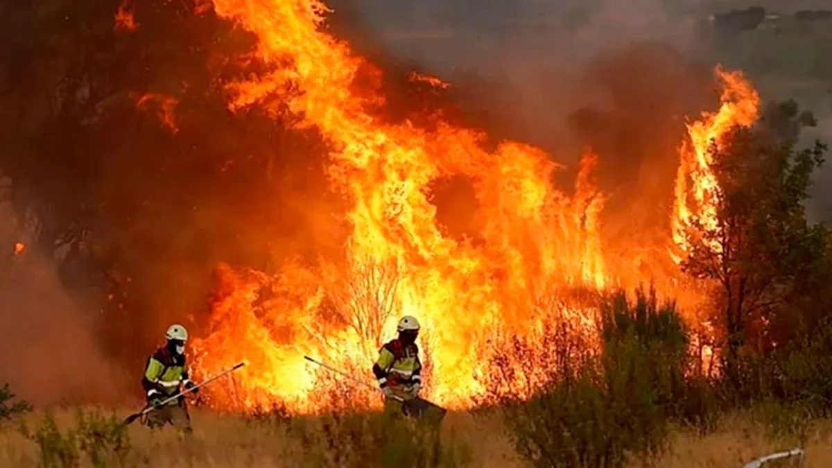 Fuerte cruce entre Juan Grabois y Alejandra Monteoliva por los incendios en la Patagonia