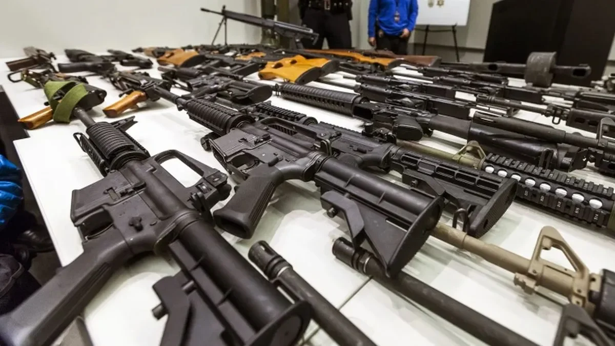 El Gobierno habilitó la compra y tenencia de armas semiautomáticas