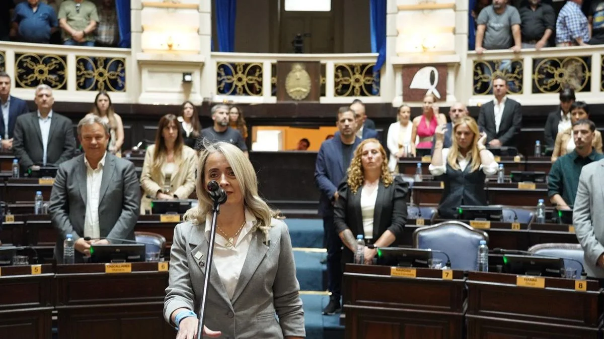 Diputados: juró Fernanda Coitinho en lugar del santillista Coria, que fue al Ministerio del Interior