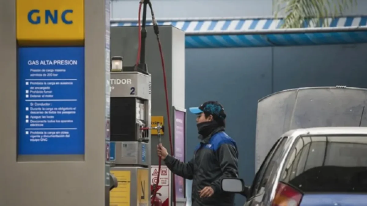Ola polar en La Plata: cuáles son las estaciones de GNC cerradas