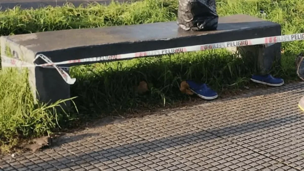 Quién era la mujer de La Plata que fue hallada muerta sobre la Avenida 520